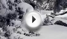 Bear Mountain Powder Snowboarding and Skiing