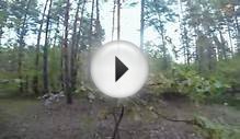 Grizzly Bear Chases Mountain Biker!