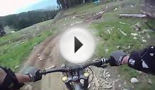 Whistler downhill, bear on MTB trail